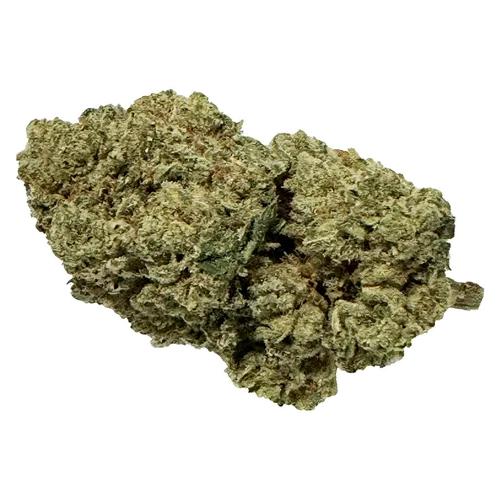 Product image of Mango Tango - Fruit Drops - Dried Flower