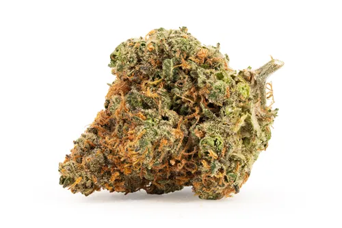Product image of BC Organic Tangerine Sunrise - Simply Bare - Dried Flower