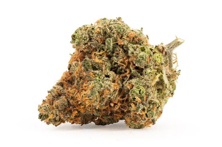 Product image of BC Organic Tangerine Sunrise - Simply Bare - Dried Flower