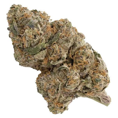 Product image of Happy Hour - XK - Dried Flower