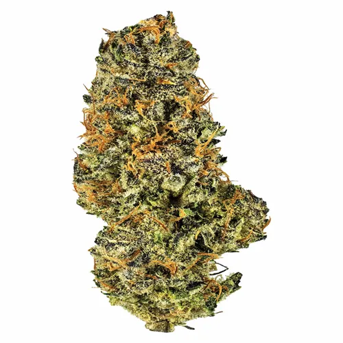 Mac and Cheese - Potluck - Dried Flower