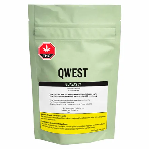 Guavas 74 - Qwest - Dried Flower