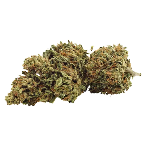 Day Dreamin' CBD Flower - Grown Here - Dried Flower