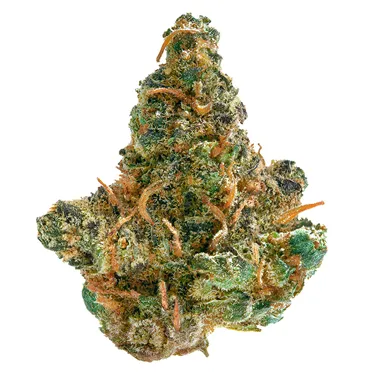 Product image of Frosted Cream Puffs - Spinach - Dried Flower