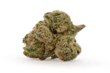 Product image of Gastronaut Smalls - BC Smalls - Dried Flower