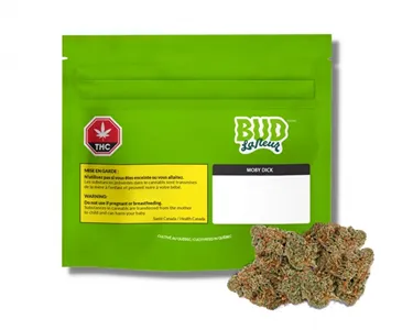 Product image of Moby Dick - Bud Lafleur - Dried Flower