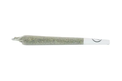 Product image of Comatose - 1964 - Joints