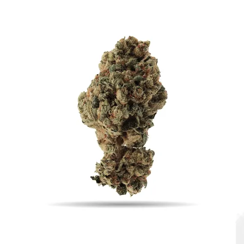 Secret Formula - Wink - Dried Flower