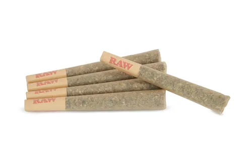 CBD Runtz - Orchid CBD - Joints