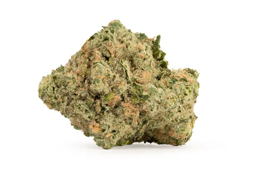 Product image of Dream Catcher - Bonkers - Dried Flower