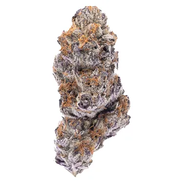 Product image of Hot Rod - Northern Canna - Dried Flower