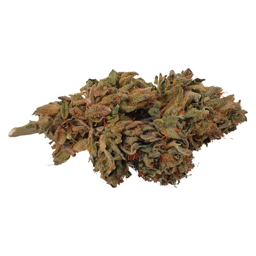 Product image of Ambassador Organic Craft CBD Flower - HCBD ORGANICS - Dried Flower