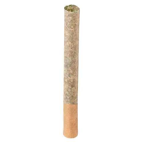 Product image of BC Organic (LSO) Maple Blizzard Pre-Roll - Cappellano - Joints