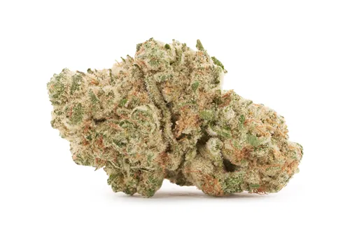 Pineapple God - Soar - Dried Flower