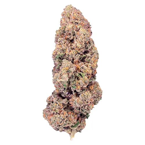 Super Boof - PURPLEFARM - Dried Flower