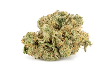Product image of Organic Mint Chocolate Chip Petites - Sweetgrass Cannabis - Dried Flower