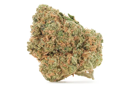 Product image of Purple Afghani - Versus - Dried Flower