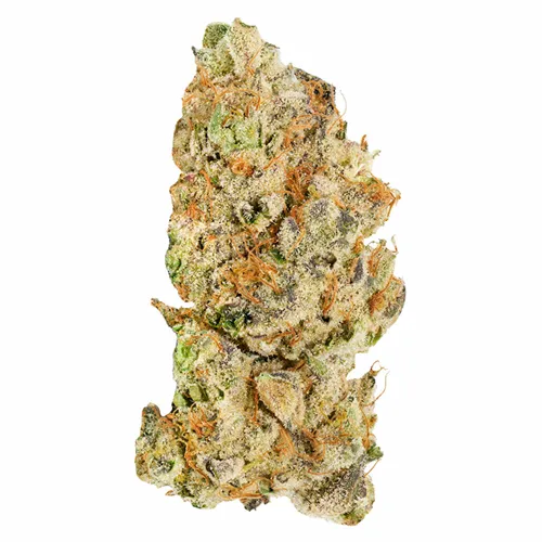 Platinum Pavé - Broken Coast - Dried Flower