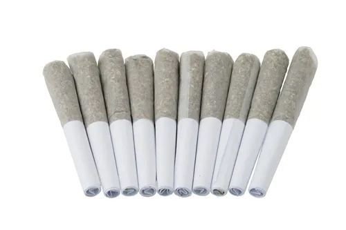 Product image of Ghost Train Haze - TRYGG - Joints