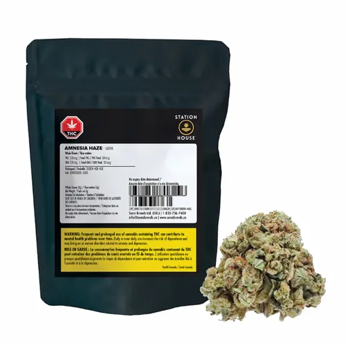 Product image of Amnesia Haze - Station House - Dried Flower