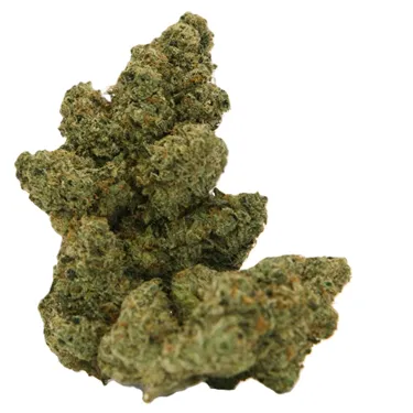 Product image of Milkyway - Far Out Crops - Dried Flower