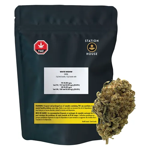 White Widow - Station House - Dried Flower