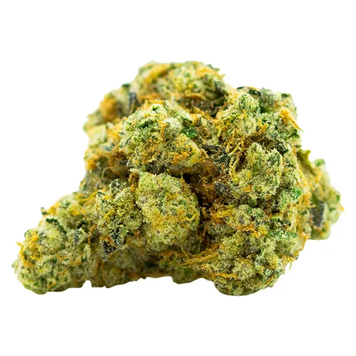 Animal Face Cookies - Carmel - Dried Flower