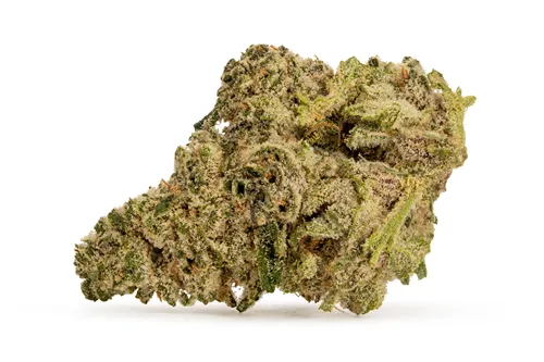 Product image of Blizzard of Oz - DEALR - Dried Flower