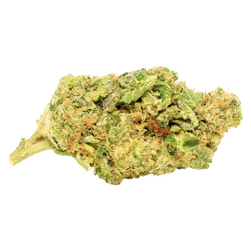 Citrus Candy Cake - Tweed - Dried Flower