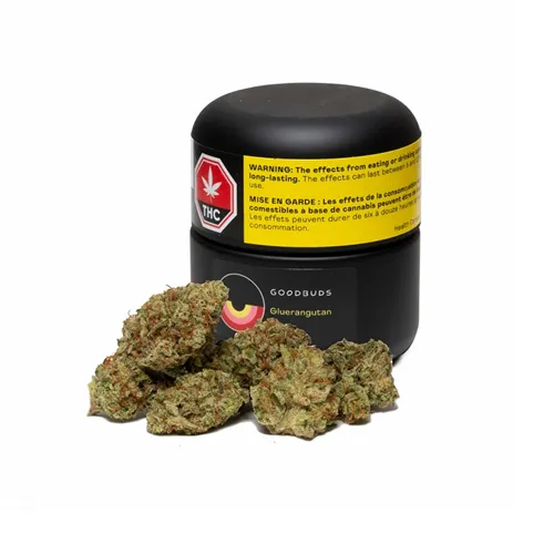 Product image of Gluerangutan - Good Buds - Dried Flower