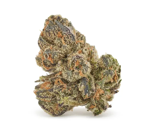 Product image of CBD Runtz - Orchid CBD - Dried Flower