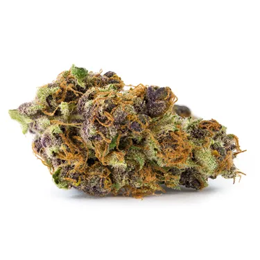 Product image of Tangerine Dream - San Rafael '71 - Dried Flower