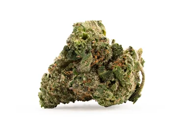 Product image of Gravity - BC 1/4 - Dried Flower