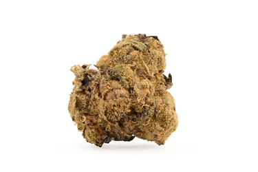 Product image of Watermelon - Good & Baked - Dried Flower