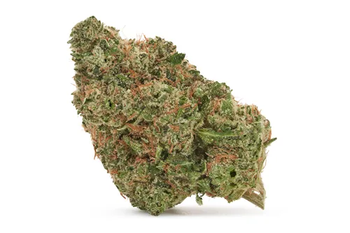 Product image of Neon Lambo - Pure Sunfarms - Dried Flower