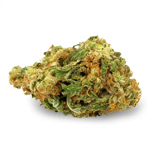 Product image of Blue Dream - Aurora - Dried Flower