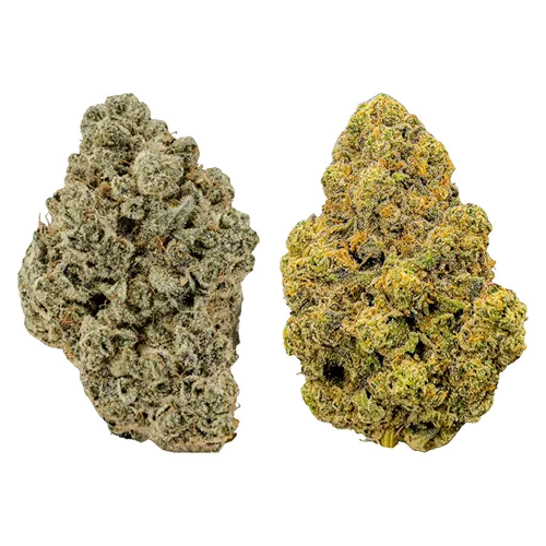 Product image of BC Craft Indica Vs. Sativa Discovery Pack - West Coast Craft - Variety Flower
