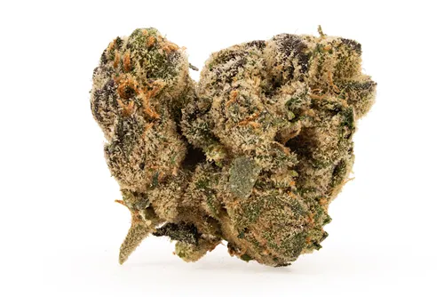 Product image of Gastro Pop Smalls - BC Weed Co. - Dried Flower