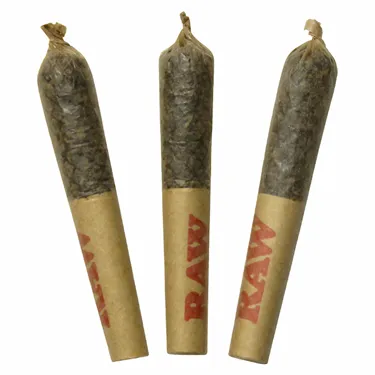 Product image of Motor Breath Dbl Infused - Dab Bods - Infused Joints