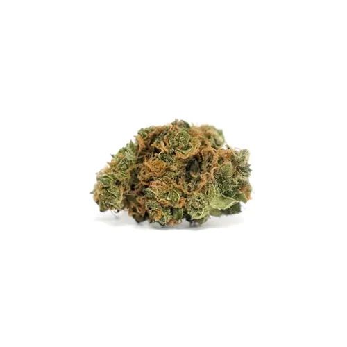 Argyle - Tweed - Dried Flower