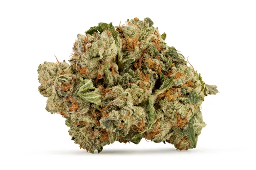 Pink Rhino - Pure Sunfarms - Dried Flower