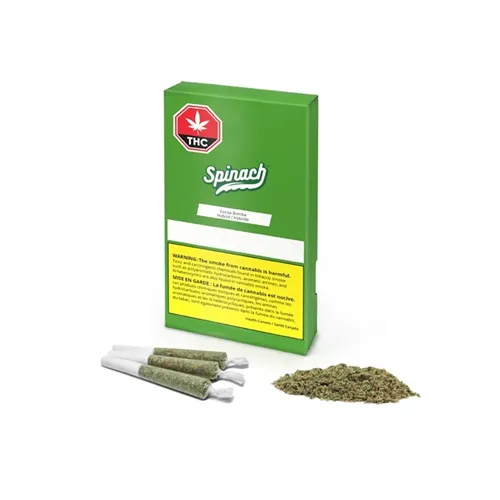 Cocoa Bomba - Spinach - Joints