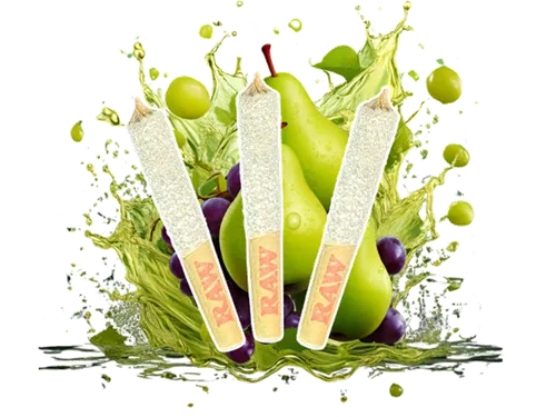 Product image of Pearadise 50+ - Dab Bods - Infused Joints