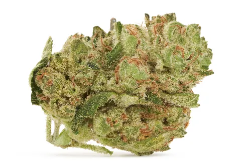 Di-Fruitti - 3Saints - Dried Flower
