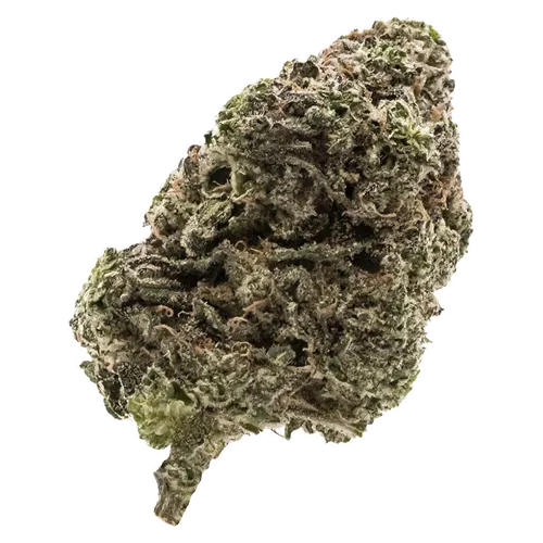 Product image of Jungle Fumes - FIGR - Dried Flower