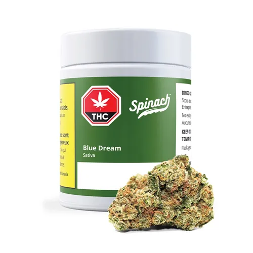 Product image of Blue Dream - Spinach - Dried Flower