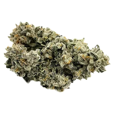 Product image of Gas Pack - Dom Jackson - Dried Flower