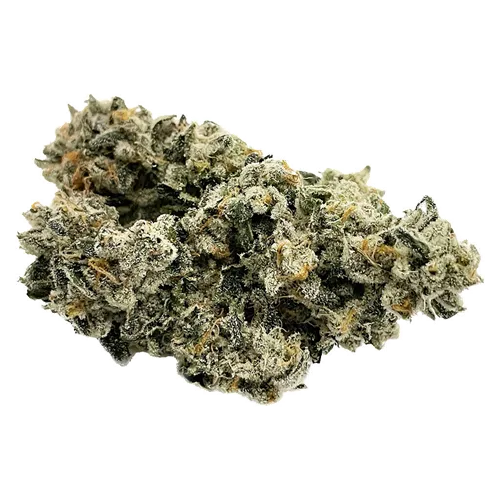 Product image of Gas Pack - Dom Jackson - Dried Flower