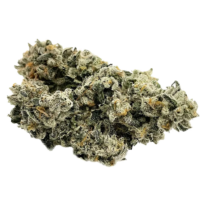 Product image of Gas Pack - Dom Jackson - Dried Flower