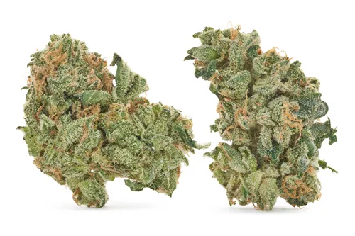 Product image of Comboz Ultra Sour + Tropical Cookies - Big Bag O' Buds - Variety Flower